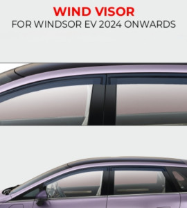Door Visors