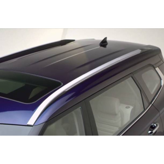 Kia Carens Car Accessories Roof Rail Black & Sliver