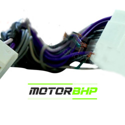 Male To Female Coupler Harness For Hyundai Cars ( 2019+) Male To Female Coupler Harness For Hyundai Cars ( 2019+)